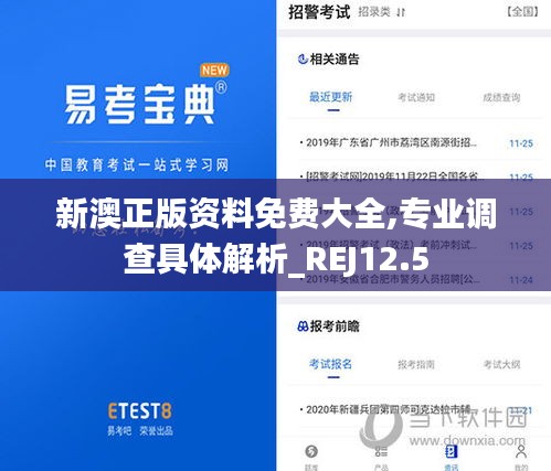 新澳正版资料免费大全,专业调查具体解析_REJ12.5