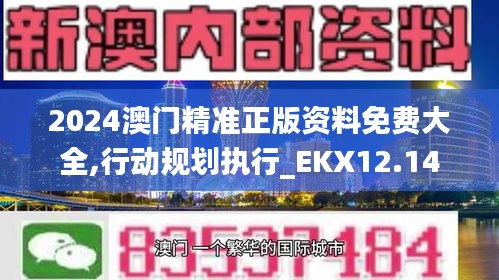 2024澳门精准正版资料免费大全,行动规划执行_EKX12.14