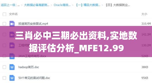 三肖必中三期必出资料,实地数据评估分析_MFE12.99