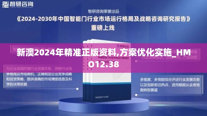 新澳2024年精准正版资料,方案优化实施_HMO12.38