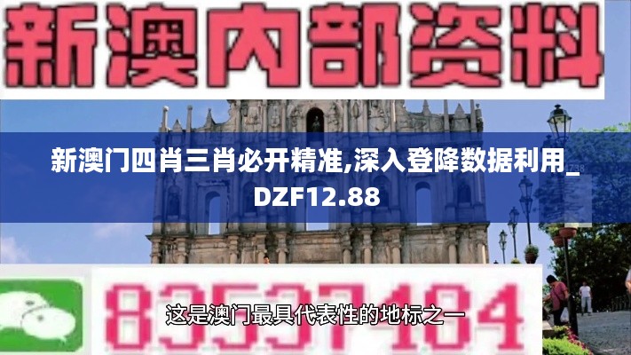 新澳门四肖三肖必开精准,深入登降数据利用_DZF12.88