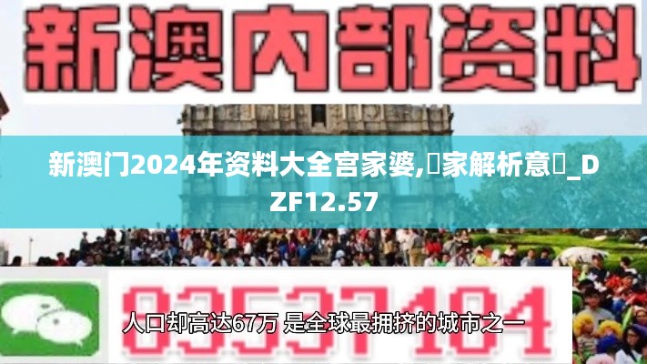 新澳门2024年资料大全宫家婆,專家解析意見_DZF12.57