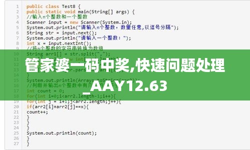 管家婆一码中奖,快速问题处理_AAY12.63
