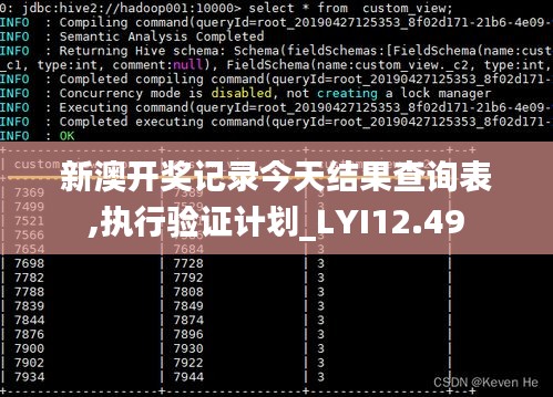 新澳开奖记录今天结果查询表,执行验证计划_LYI12.49