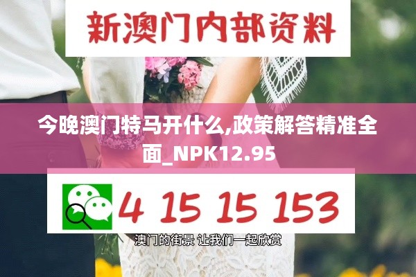 今晚澳门特马开什么,政策解答精准全面_NPK12.95