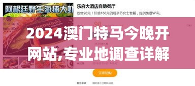 2024澳门特马今晚开网站,专业地调查详解_VSP12.14