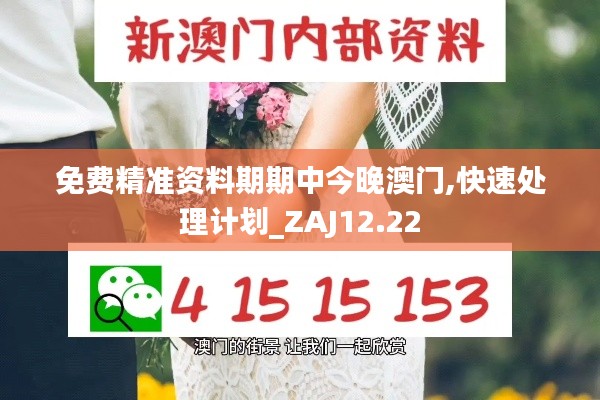 免费精准资料期期中今晚澳门,快速处理计划_ZAJ12.22