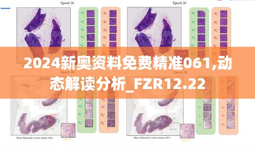 2024新奥资料免费精准061,动态解读分析_FZR12.22