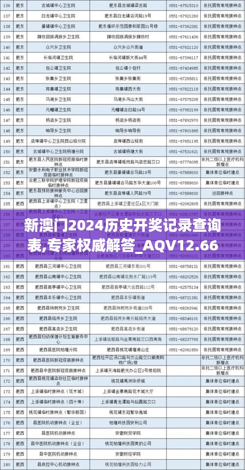 新澳门2024历史开奖记录查询表,专家权威解答_AQV12.66