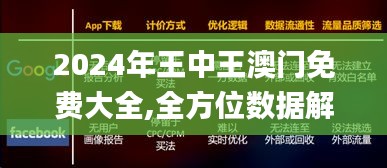 2024年王中王澳门免费大全,全方位数据解析表述_QQS12.12