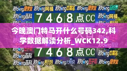 今晚澳门特马开什么号码342,科学数据解读分析_WCK12.9