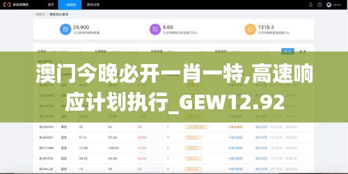 澳门今晚必开一肖一特,高速响应计划执行_GEW12.92