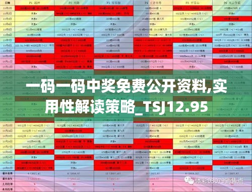 一码一码中奖免费公开资料,实用性解读策略_TSJ12.95