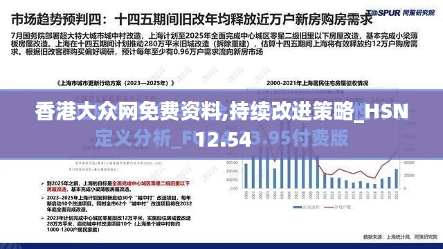 香港大众网免费资料,持续改进策略_HSN12.54