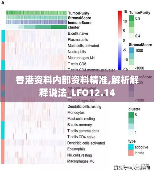 香港资料内部资料精准,解析解释说法_LFO12.14