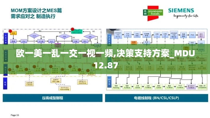 欧一美一乱一交一视一频,决策支持方案_MDU12.87