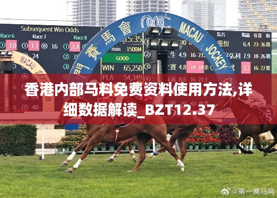 香港内部马料免费资料使用方法,详细数据解读_BZT12.37