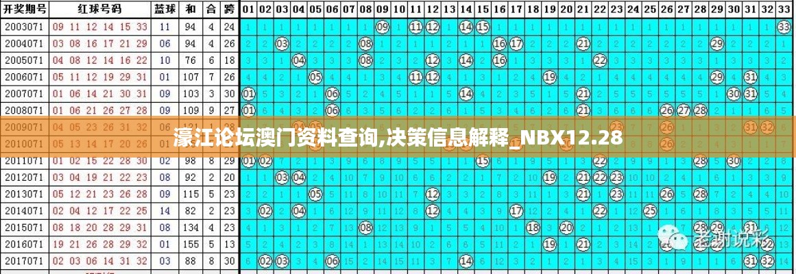 濠江论坛澳门资料查询,决策信息解释_NBX12.28