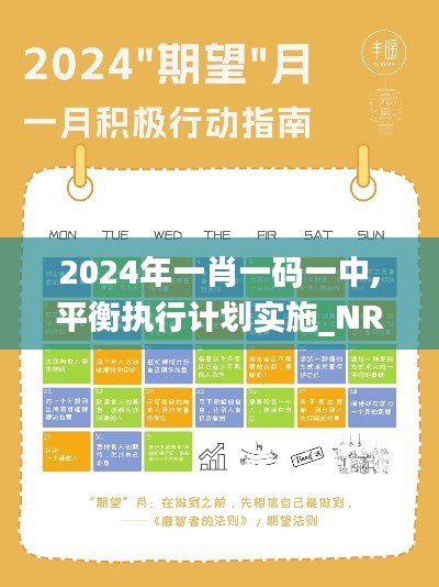 2024年一肖一码一中,平衡执行计划实施_NRF12.27