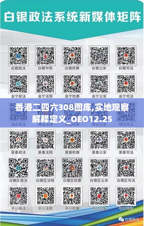 香港二四六308图库,实地观察解释定义_OEO12.25