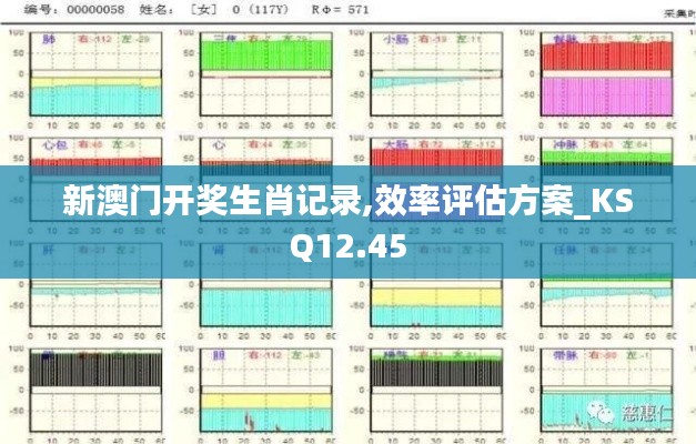 新澳门开奖生肖记录,效率评估方案_KSQ12.45