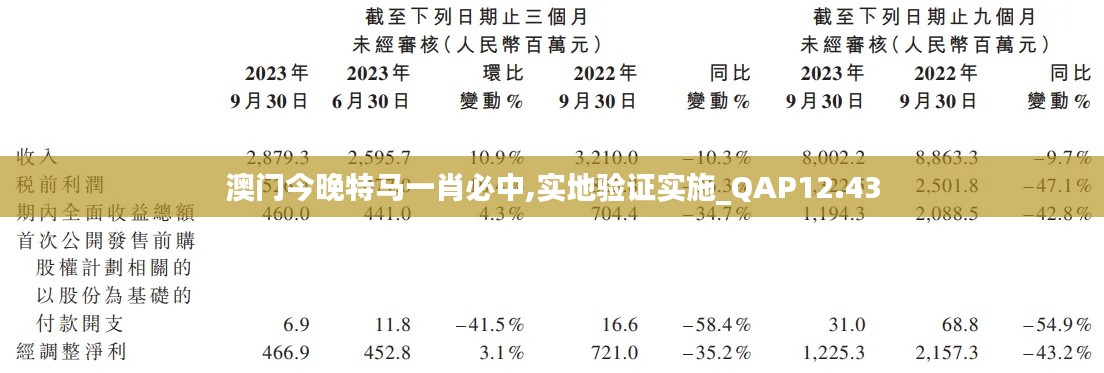 澳门今晚特马一肖必中,实地验证实施_QAP12.43