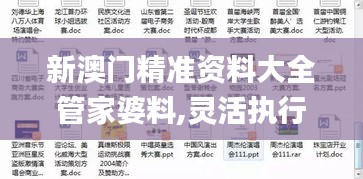 新澳门精准资料大全管家婆料,灵活执行方案_RHJ12.81