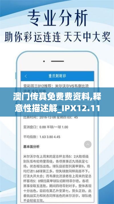 澳门传真免费费资料,释意性描述解_IPX12.11