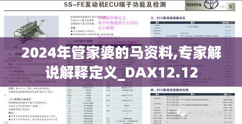 2024年管家婆的马资料,专家解说解释定义_DAX12.12