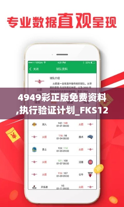 4949彩正版免费资料,执行验证计划_FKS12.63