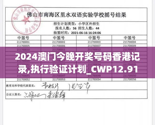 2024澳门今晚开奖号码香港记录,执行验证计划_CWP12.91