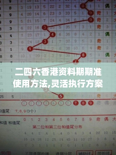 二四六香港资料期期准使用方法,灵活执行方案_HIT12.72