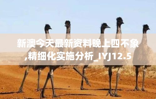 新澳今天最新资料晚上四不象,精细化实施分析_IYJ12.5