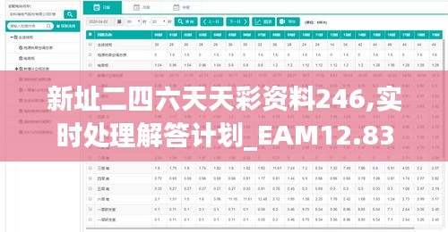 新址二四六天天彩资料246,实时处理解答计划_EAM12.83