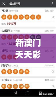 新澳门天天彩开奖结果出来,快速解答方案设计_BEA12.81