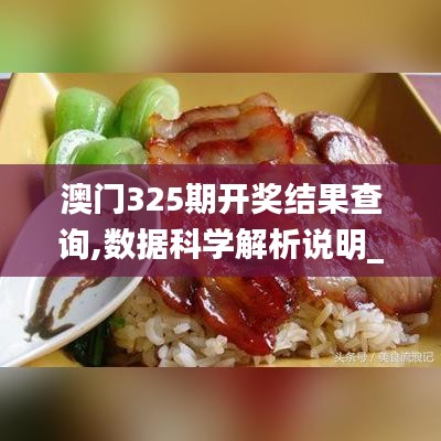 澳门325期开奖结果查询,数据科学解析说明_ZOU12.26