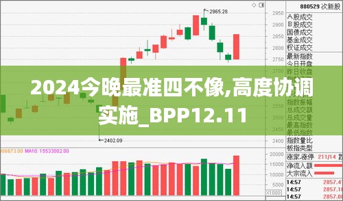 2024今晚最准四不像,高度协调实施_BPP12.11