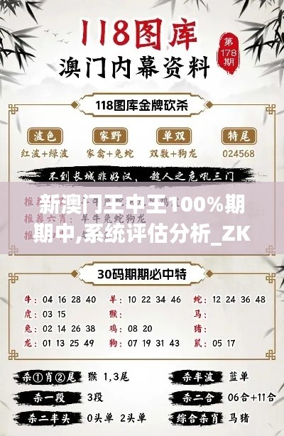 新澳门王中王100%期期中,系统评估分析_ZKG12.22