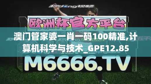 澳门管家婆一肖一码100精准,计算机科学与技术_GPE12.85