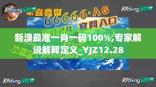 新溴最准一肖一码100%,专家解说解释定义_YJZ12.28