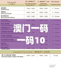 澳门一码一码100准确挂牌,决策支持方案_SLV12.28