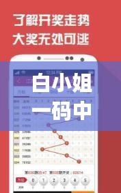 白小姐一码中期期开奖结果查询,深入挖掘解释说明_COE12.40