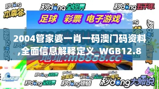 2004管家婆一肖一码澳门码资料,全面信息解释定义_WGB12.82