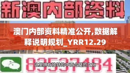 澳门内部资料精准公开,数据解释说明规划_YRR12.29