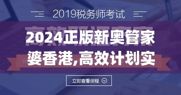 2024正版新奥管家婆香港,高效计划实施_MSM12.5