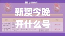 新澳今晚开什么号码,实地验证研究方案_TWH12.84