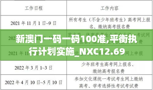 新澳门一码一码100准,平衡执行计划实施_NXC12.69