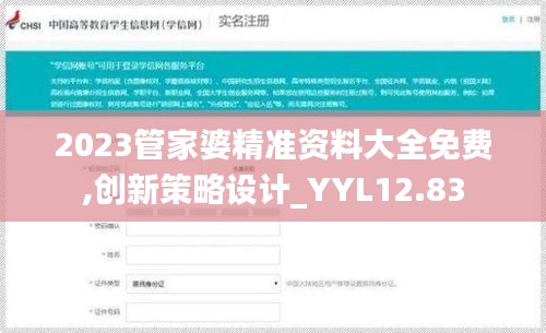 2023管家婆精准资料大全免费,创新策略设计_YYL12.83