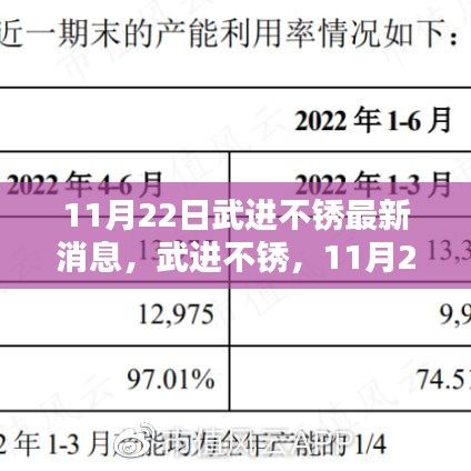 武进不锈最新消息深度解析，11月22日更新