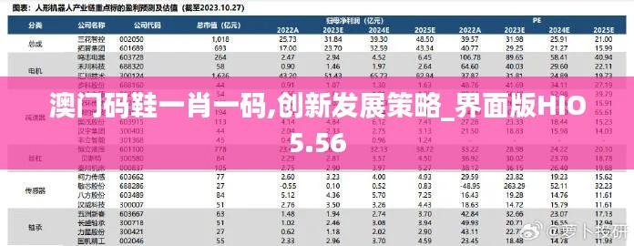 澳门码鞋一肖一码,创新发展策略_界面版HIO5.56